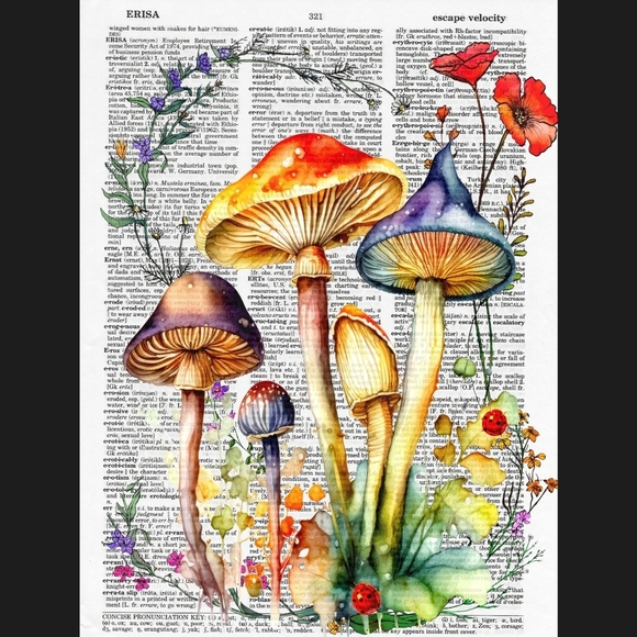 Mushroom Wildflower Poppy Science Botanical Fairy Vintage Dictionary Art… - Picture 4 of 5